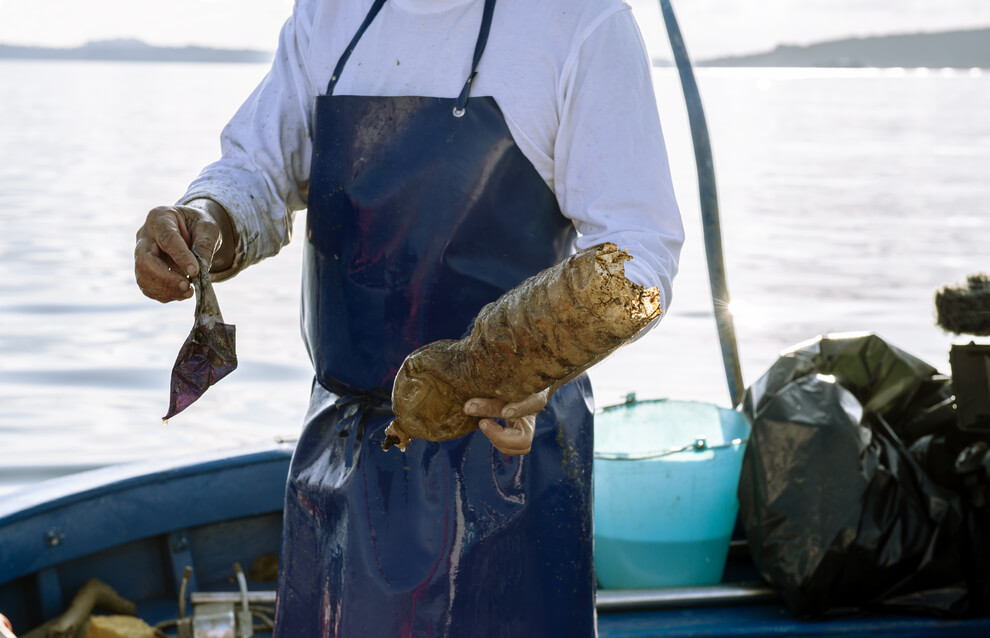 pescatore che recupera rifiuti in mare