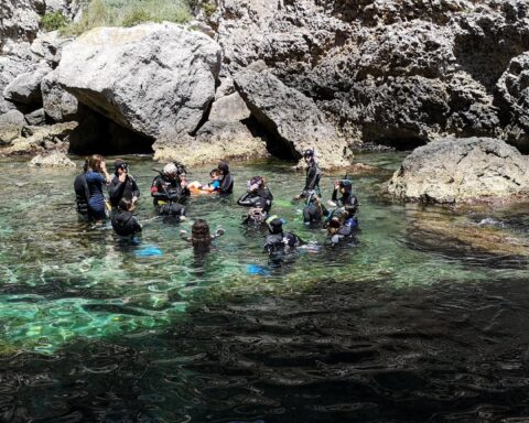 Subacquei in mare durante la Biomaratò
