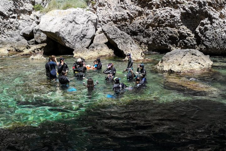 Subacquei in mare durante la Biomaratò