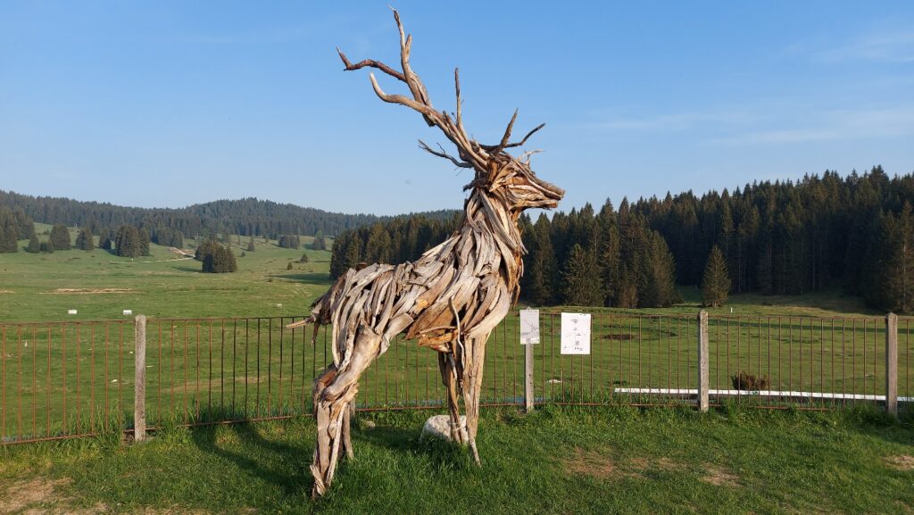 Il cervo di Marco Martalar, Rifugio Millegrobbe Luserna, Trento