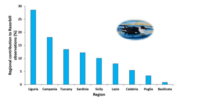 Grafico a torre con percentuale delle osservazioni di Gazza marina in Italia nell’inverno 2022-2023 in ogni regione (Totale = 238. Fonte: www.mdpi.com/2076-2615/13/4/656)