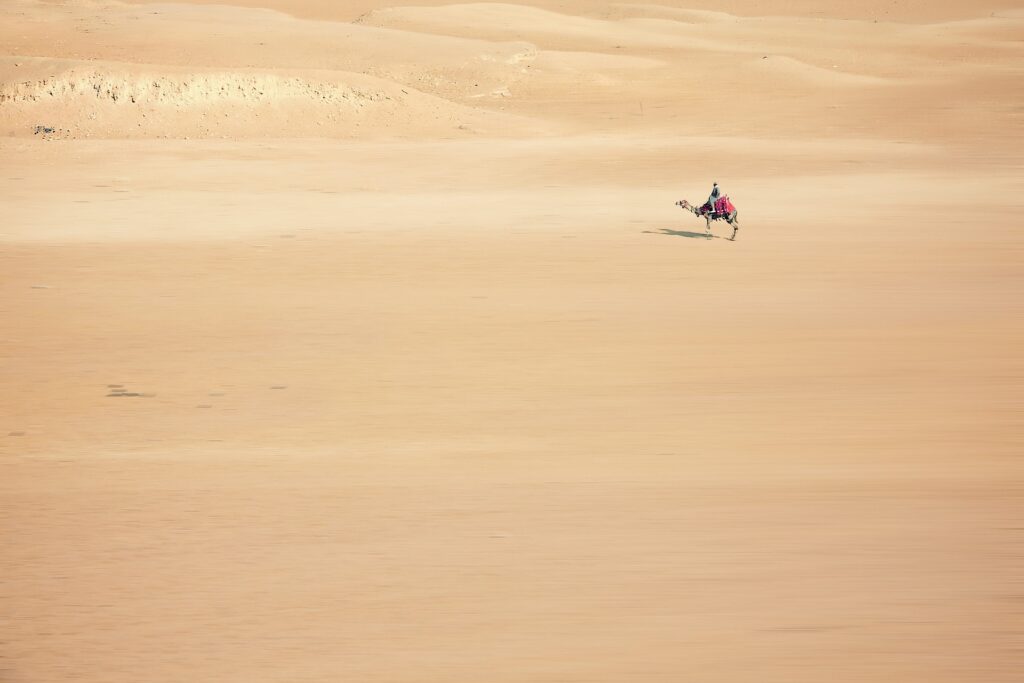 Un'immagine del deserto, con un cammello in lontananza