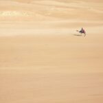 Un'immagine del deserto, con un cammello in lontananza