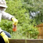 Un uomo spruzza del pesticida nel suo giardino