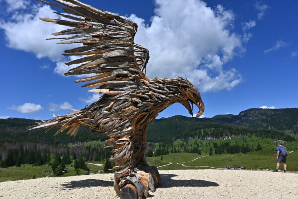 L'aquila è l'ultimo, imponente animale rappresentato da Martalar sui luoghi della tempesta di Vaia (Foto: Stefania Bernardotto)