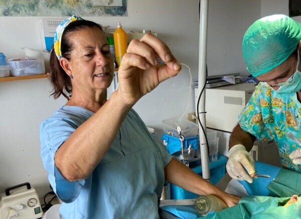 La biologa marina Daniela Freggi. Nel podcast ci riporta nel Mediterraneo per raccontare le tartarughe marine