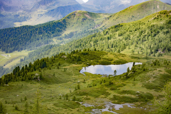 Il Passo a cinque croci, in Val Campelle, Valsugana (Foto: Stefano Slompo)