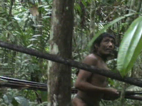Gli ultimi Kawahiva sono costretti a vivere in fuga da trafficanti di legname armati e potenti allevatori. Immagine di un incontro fortuito con funzionari governativi (Foto: © FUNAI/ survivalinternational.it)