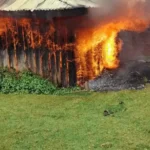 Un'abitazione Ogiek data alle fiamme durante l'ondata di sfratti illegali (Foto: © OPDP/www.survivalinternational.it)