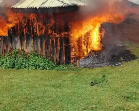 Un'abitazione Ogiek data alle fiamme durante l'ondata di sfratti illegali (Foto: © OPDP/www.survivalinternational.it)