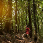 Un escursionista in una foresta