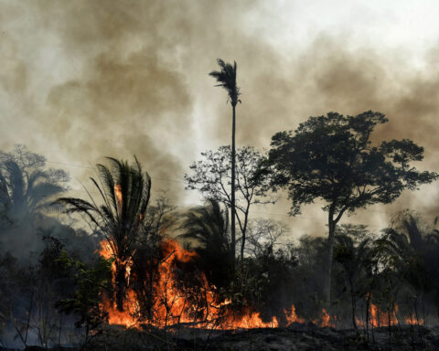 Un incendio in Bolivia (Foto: EU Civil Protection and Humanitarian Aid/worldweatherattribution.org)