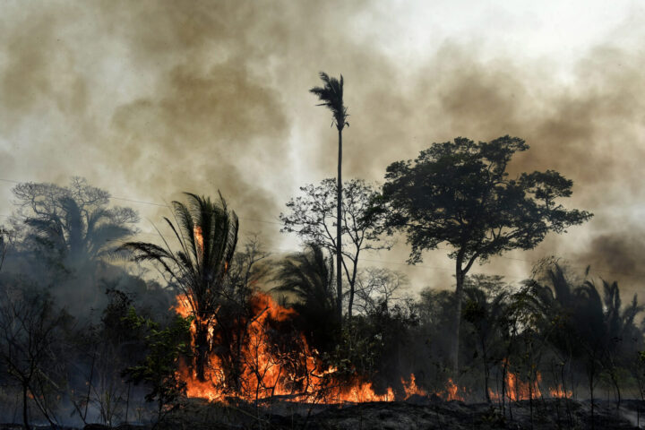 Un incendio in Bolivia (Foto: EU Civil Protection and Humanitarian Aid/worldweatherattribution.org)