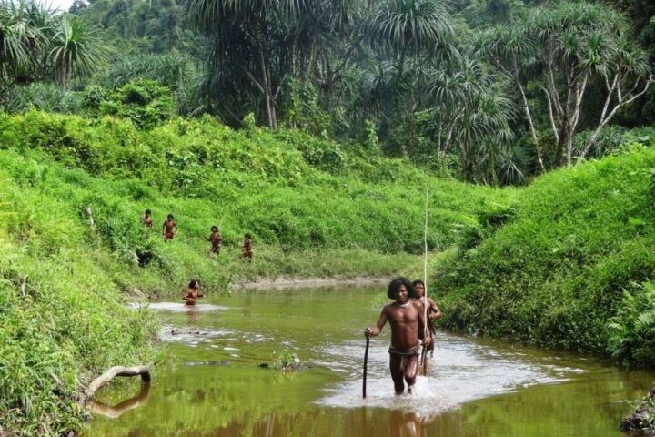 Gli Shompen vivono nell’area di foresta più interna dell’isola di Gran Nicobar. Non sopravvivranno alla distruzione della loro terra ancestrale (Foto: www.survivalinternational.it/ © Anthropological Survey of India)