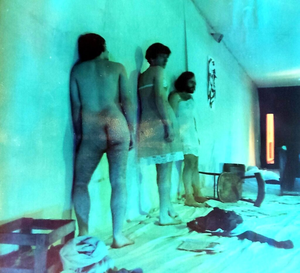 Il Gruppo teatro laboratorio arti visive, Riflusso nel privato come da Joyce (con Dodo D'Hambourg), 1982