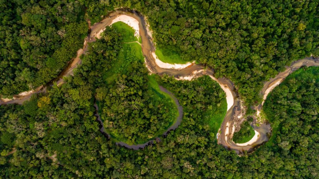 La foresta amazzonica da una ripresa aerea (Foto: Getty images)