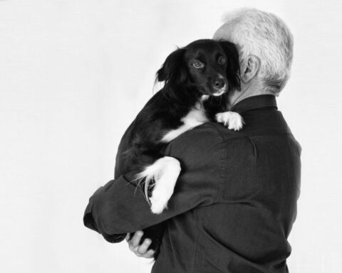 Un uomo anziano di spalle, tiene in braccio un bellissimo cane meticcio bianco e nero
