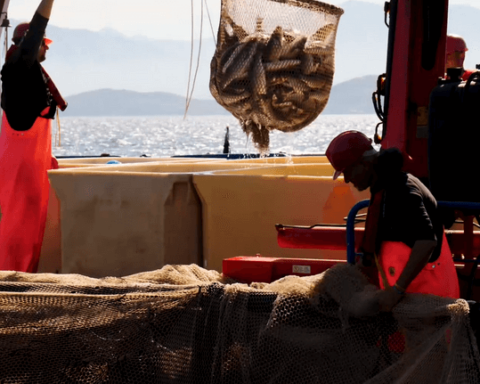 Pescatori impegnati nell'allevamento intensivo di orate nel mare della Grecia (dal documentario Until the end of the World)