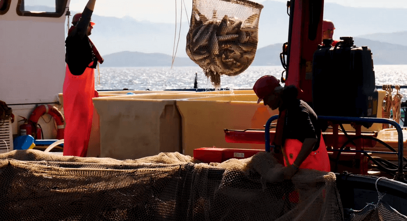 Pescatori impegnati nell'allevamento intensivo di orate nel mare della Grecia (dal documentario Until the end of the World)