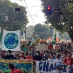 Una mobilitazione dei Fridays For Future