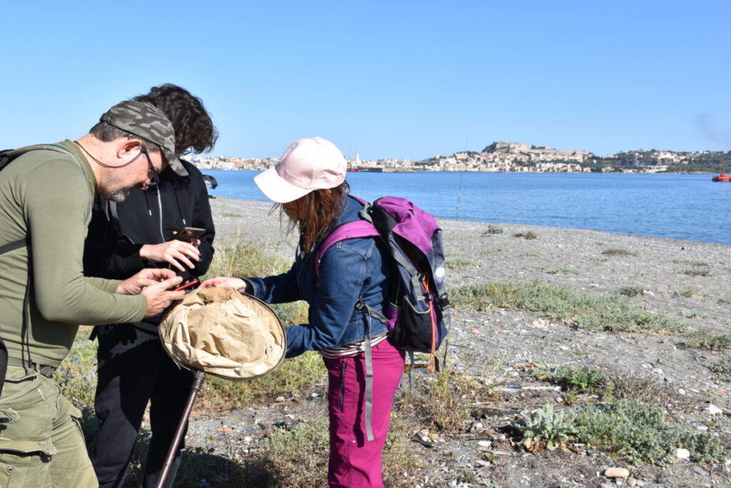 La City Nature Challenge a Milazzo, città che ha ricevuto una menzione speciale insieme al suo Museo del Mare