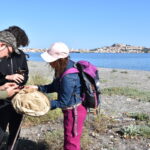 La City Nature Challenge a Milazzo, città che ha ricevuto una menzione speciale insieme al suo Museo del Mare