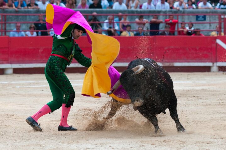 Un torero durante una corrida