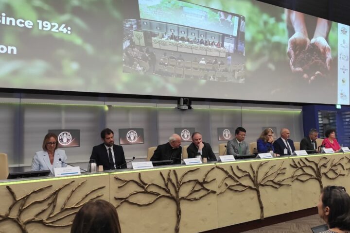 Il convegno del Crea a Roma in vista del centenario della Iuss