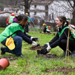 Volontari della campagna Mosaico Verde all'opera