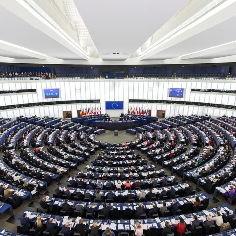 Una sessione del Parlamento Eu nel 2014 (Foto: Wikipedia)