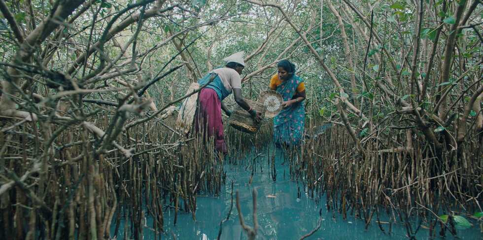 The Feast_02_Premio SMAT per il miglior cortometraggio