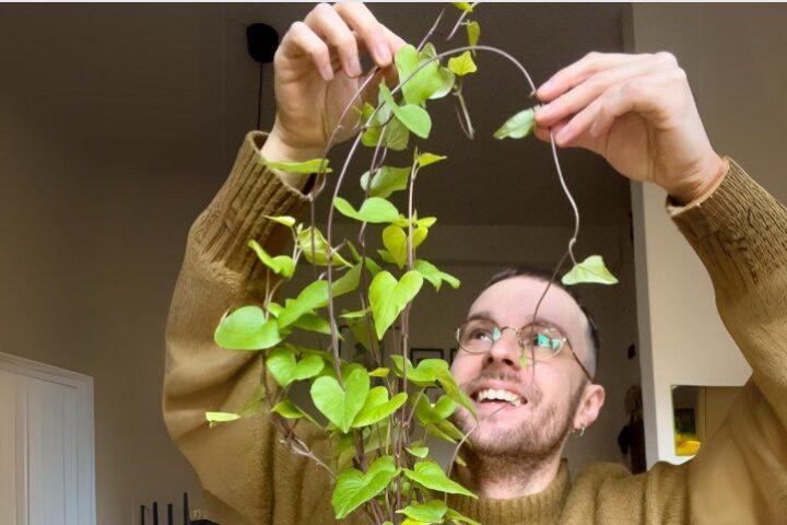 Alessio Cicchini