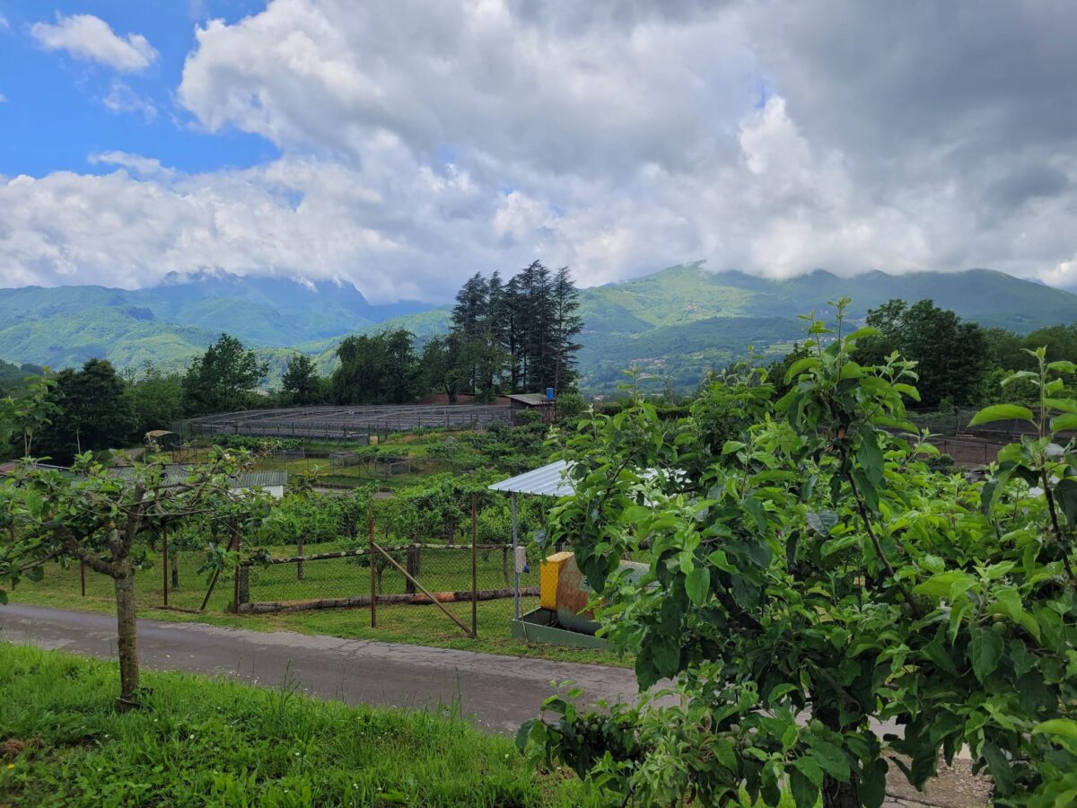 Il Centro Faunistico di Bieri, in Garfagnana (Foto: Alice Scialoja)