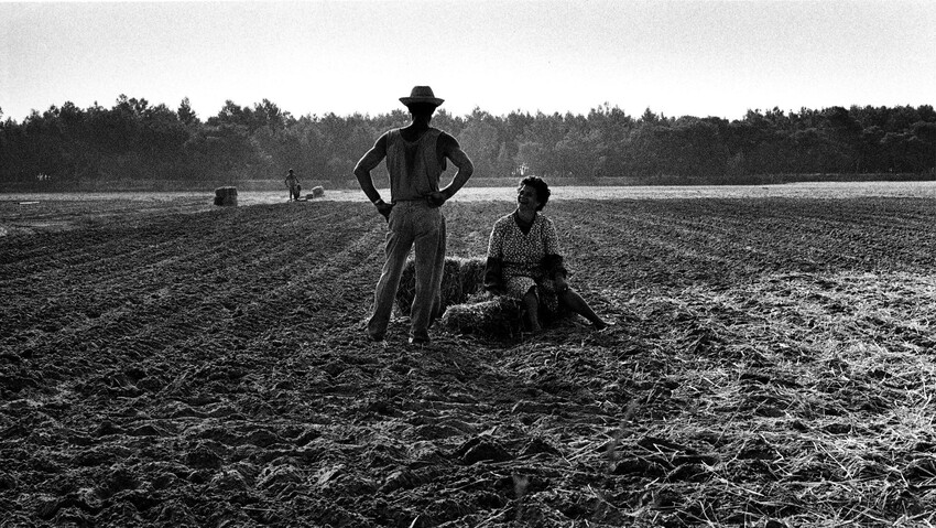 Foto in bianco e nero di campo arato con al centro due braccianti