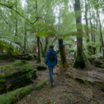 Una persona di spalle che cammina in un bosco