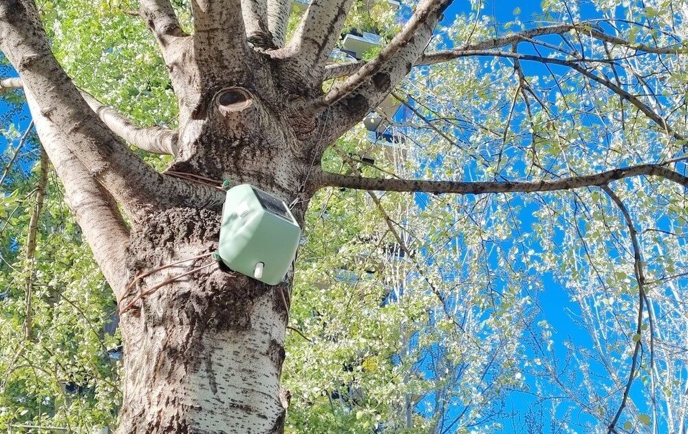 sensori installati sugli alberi della BAM - Biblioteca degli Alberi Milano per monitorare la loro capacità di assorbire CO2 e ridurre le polveri sottili