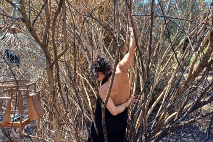 Dal 13 al 22 settembre a Bosco del Rigo, presso il Lago di Martignano, vicino Roma, arti performative, natura e itineranza con la direzione artistica di "Ti con Zero"