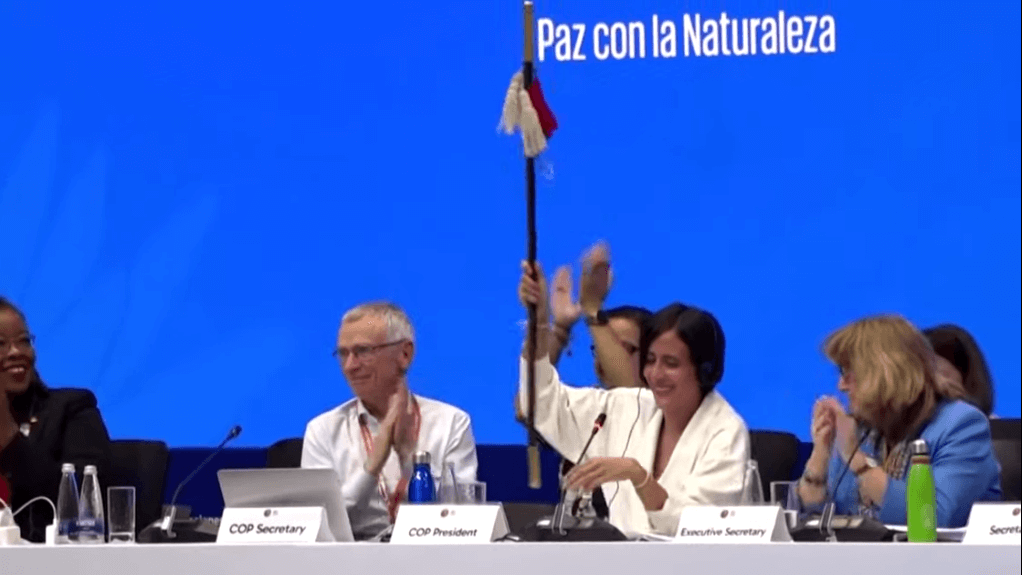 Relatori applaudono e festeggiano alla Cop16 di Cali