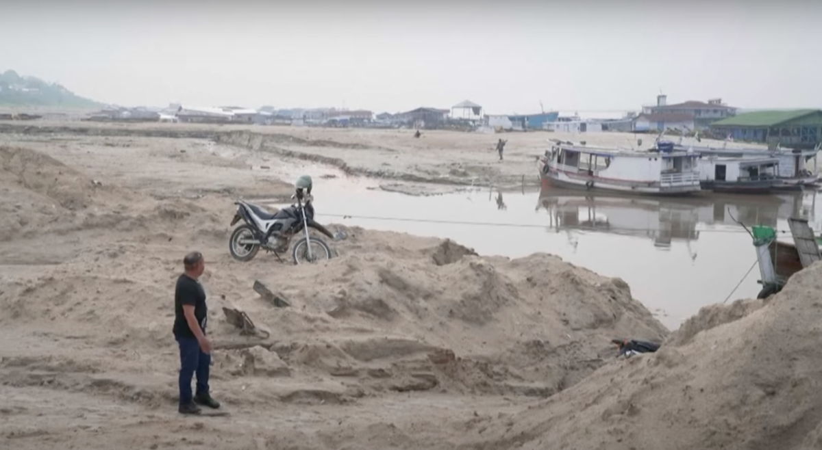 Il bacino del Rio delle Amazzoni è, in alcune aree, duramente colpito da una siccità record (Foto: YouTube)