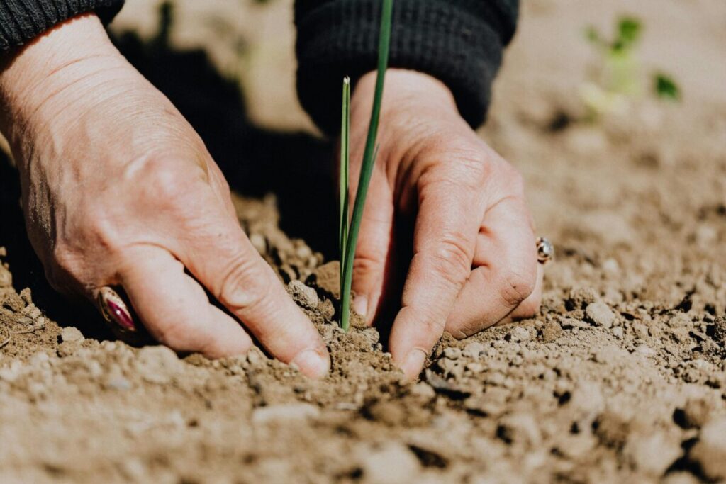 Il consumo di suolo provoca danni ambientali ma anche economici (Foto: K. Grabowska/Pexels)