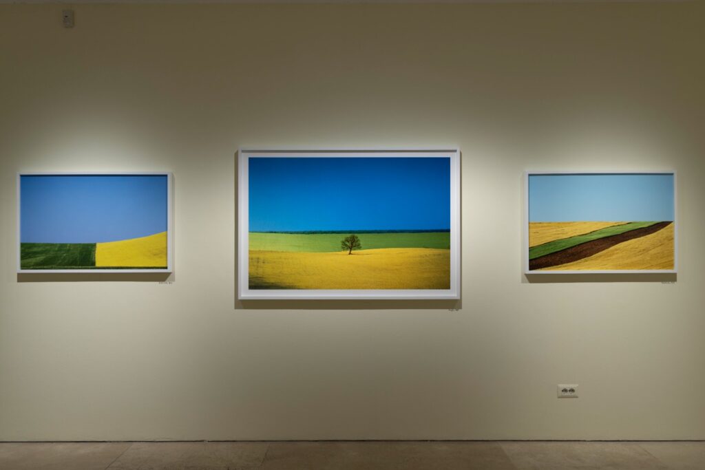 Franco Fontana, Ph. Monkeys, video Lab