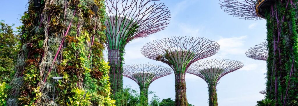 Un'area verde a Singapore