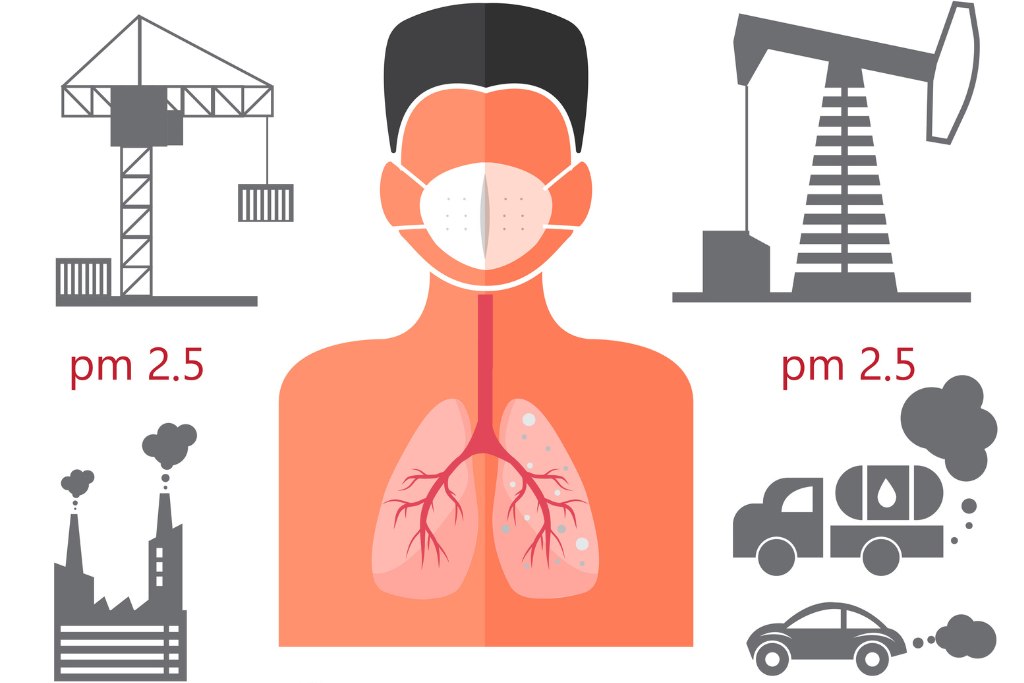 Infografica: le fonti di PM2,5 pericolose per la salute umana. Illustrazione: Istock