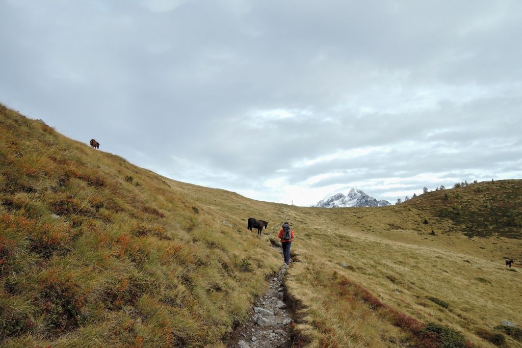 Liceo di montagna, Tione di Trento 