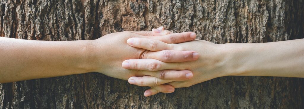 Alessandra Viola, "Chiedi a una pianta": abbracciare un albero