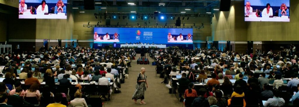La sessione della Cop16 sulla biodiversità a Cali, in Colombia