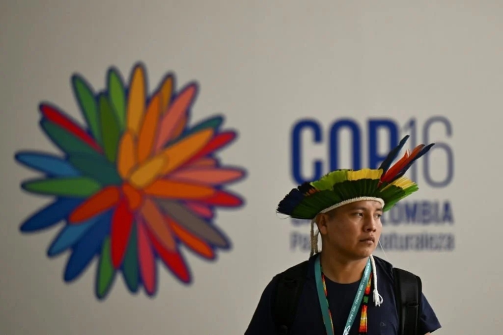 Biodiversità, dove eravamo rimasti? Un momento della sessione in Colombia