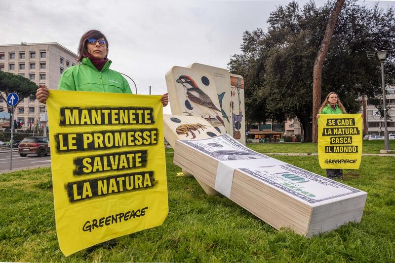 L'intervento di Greenpeace durante la Cop16 di Roma