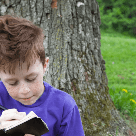 ecofavole per le scuole