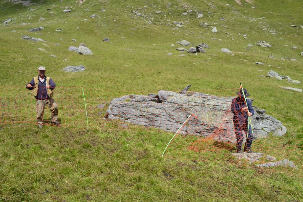 Lassù fra le montagne, con i volontari di “Pasturs”: reti di protezioine